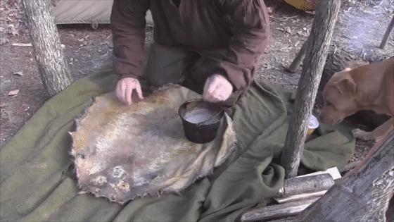 河狸皮毛的优点,河狸皮毛十分名贵