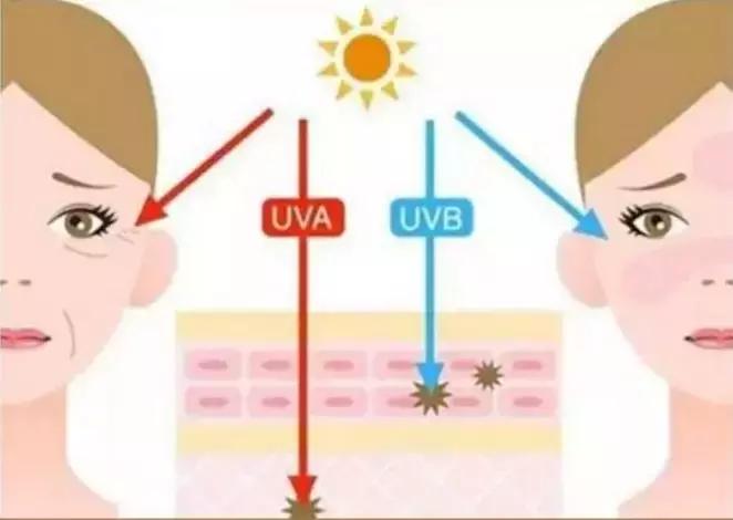 别再被偏方骗了,别再被小窍门忽悠了