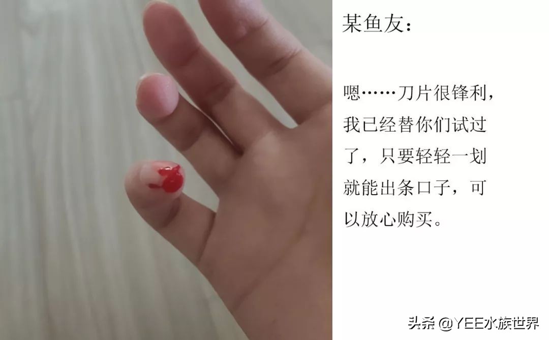 鱼缸除藻最好用的工具,鱼缸除褐藻绿藻工具