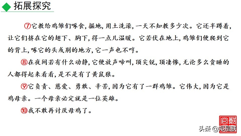 七上人教版第十七课动物笑谈课件,七上语文动物笑谈