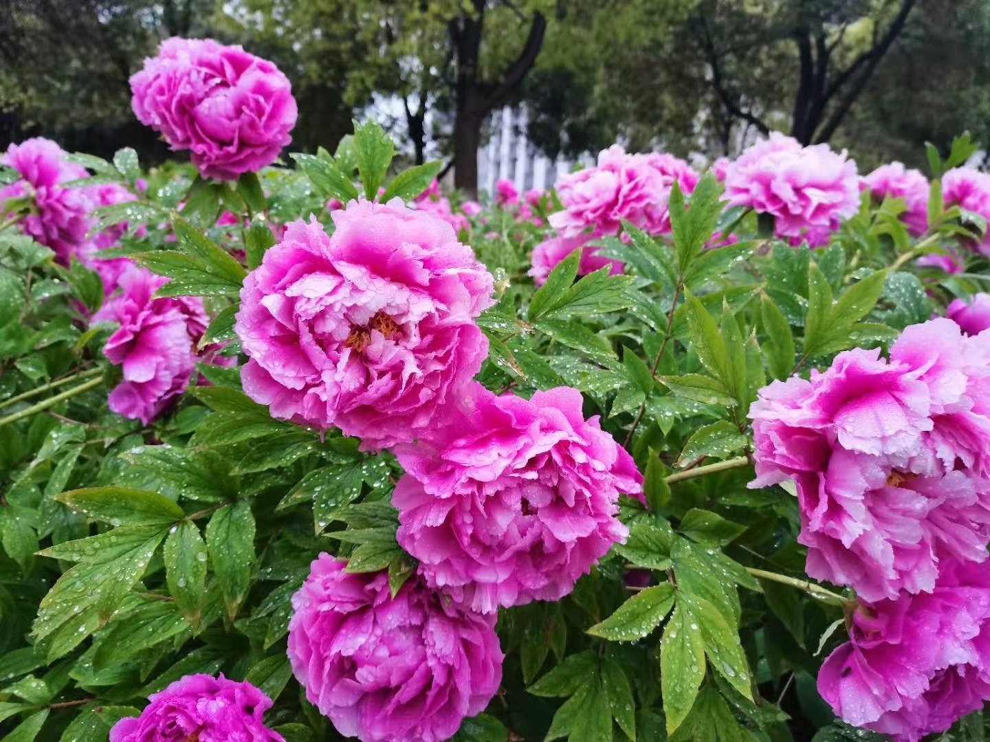 没必要伤春悲秋,时间不能停留