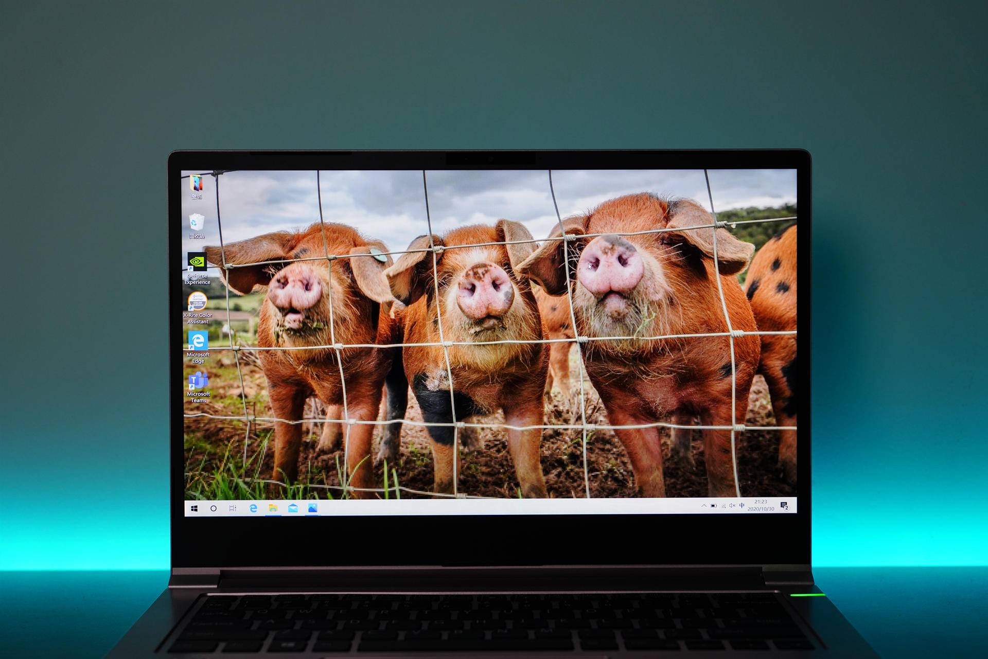 618必买的数码产品,618大促值得入手的小家电