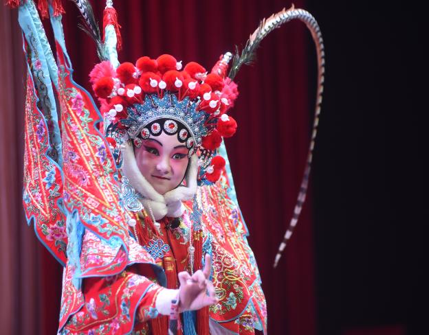 小梅花金花奖名单,小梅花的金花称号