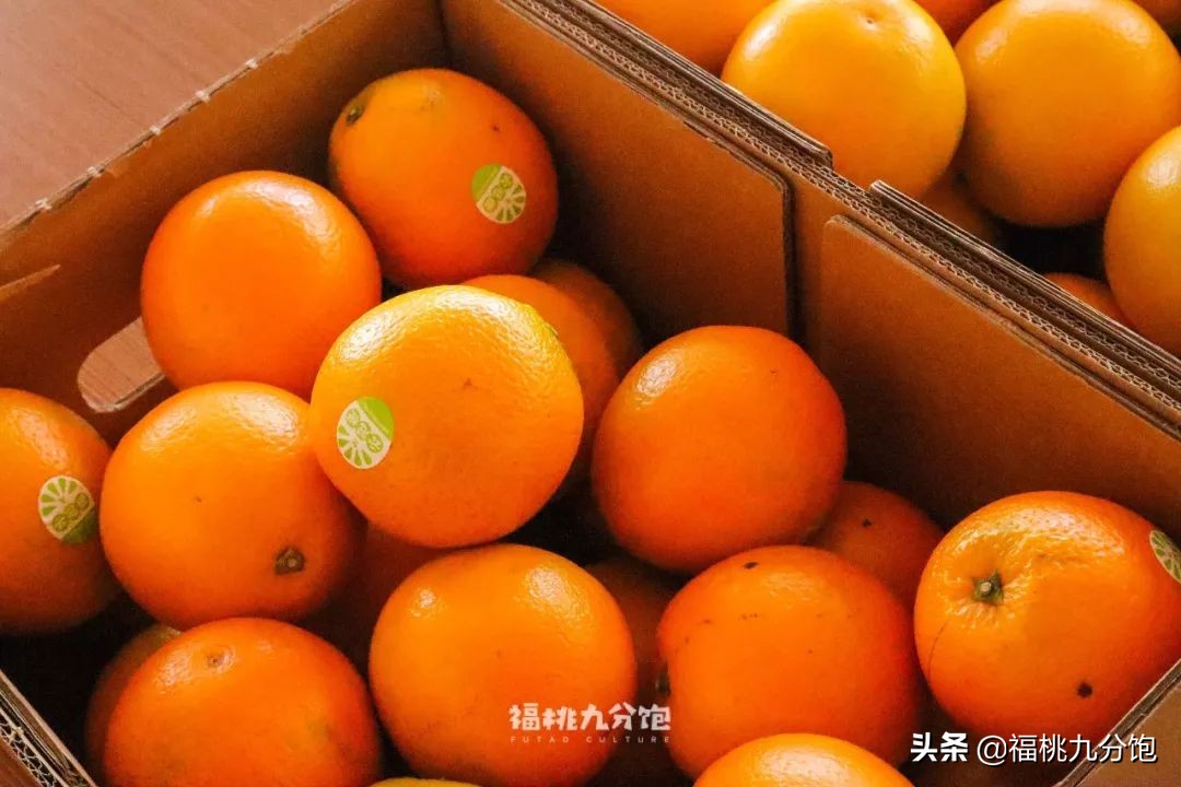 市场上卖的褚橙是真的吗,怎么区分真假褚橙2018