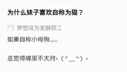 为什么有些女孩称自己为小狗,为什么女生称自己为小母猫