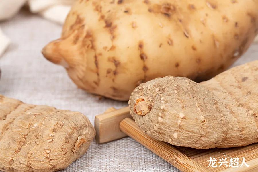 达州道地药材天麻,正宗中药材天麻