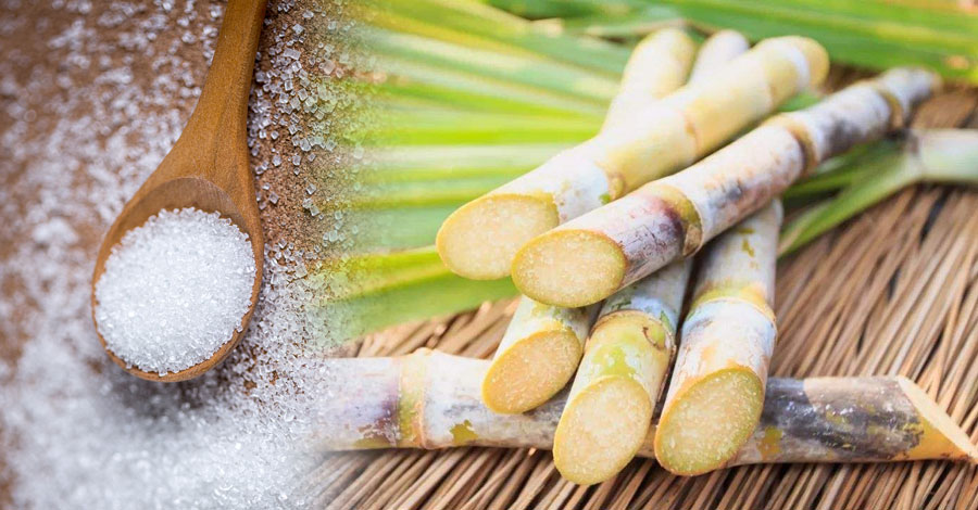 《食史百味》蔗中精炼滋味甜，背后浸透奴隶苦：砂糖的历史