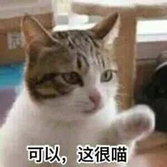 包包小ck香风,小ckmini口红包包