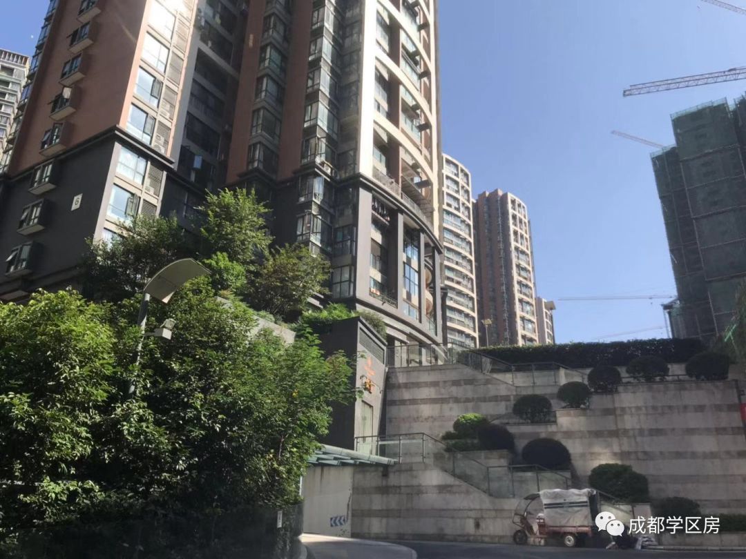 天府新区第五小学排名,天府新区a区学区房