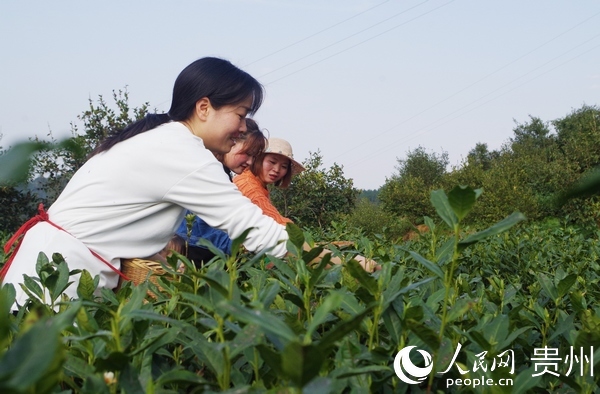 新春走基层农行人,新春走基层贵州千户苗寨