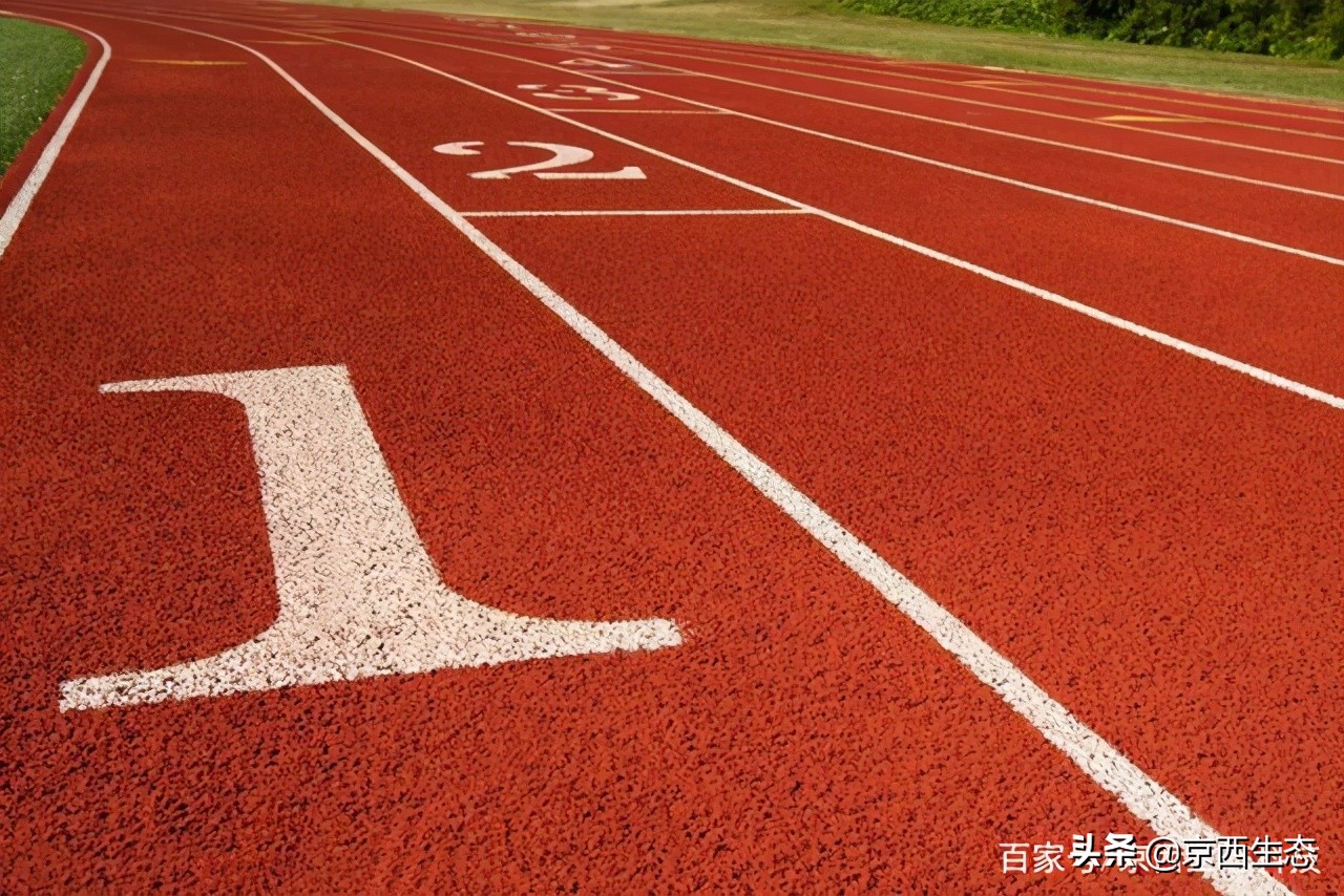 塑胶跑道划线标准和要求,300米塑胶跑道尺寸图