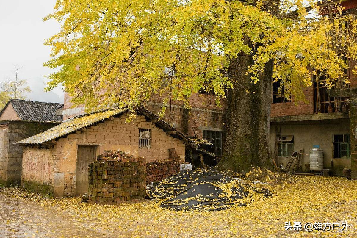 漓江兴坪古镇美景,兴坪古镇漓江游