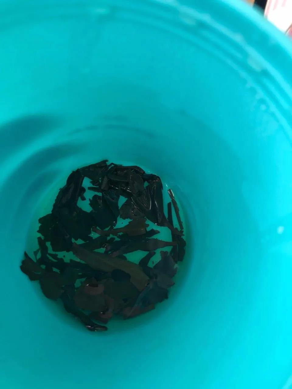 什么肥料促进叶片油亮,什么肥能让叶面油亮