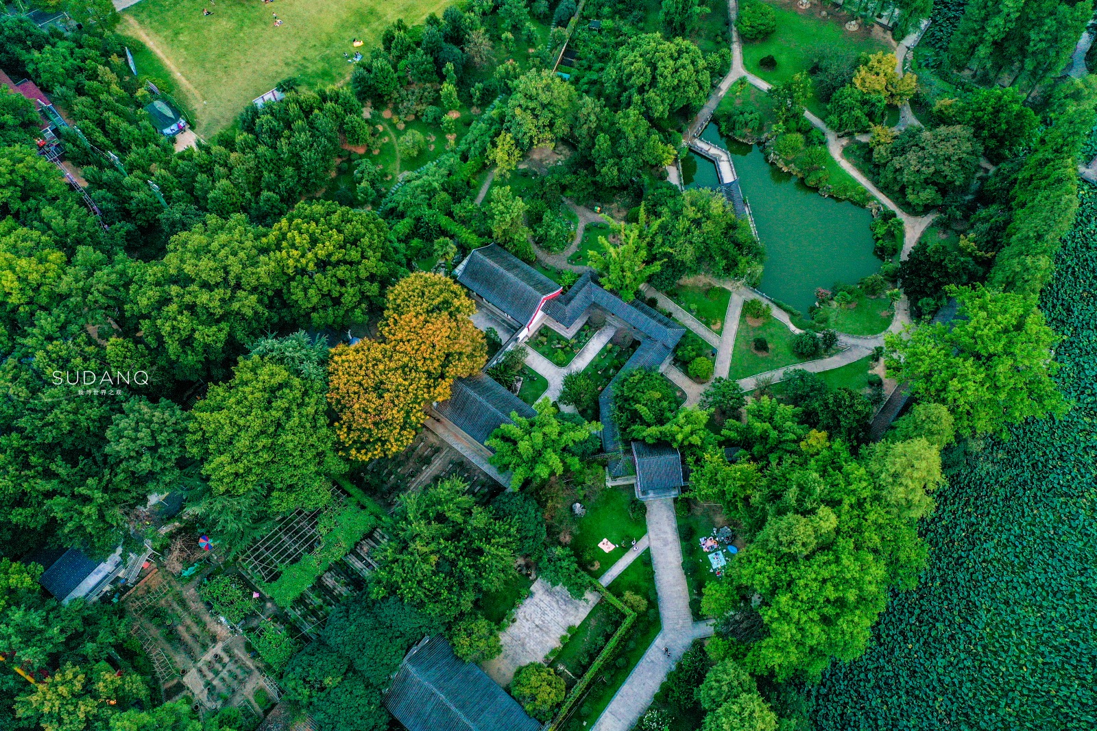 国内3大ufo目击事件,10大ufo事件