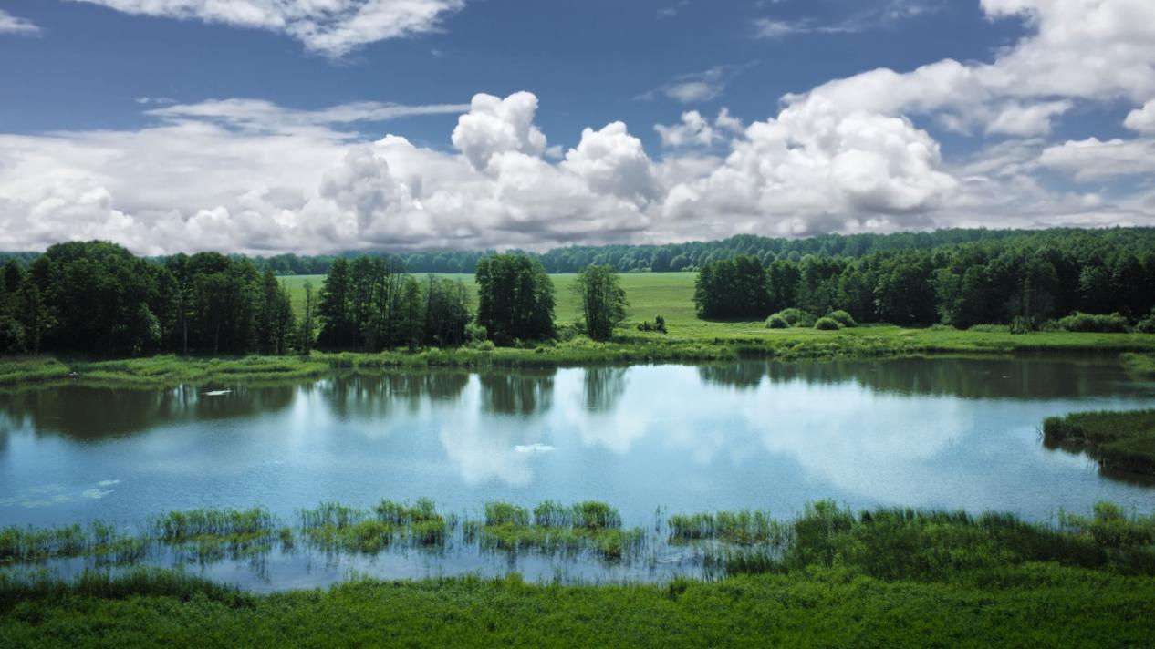 hipp喜宝荷兰版和德国版,喜宝hipp在德国多少钱