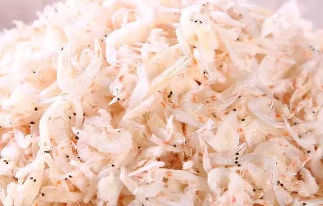 山东哪些地区的虾比较有名气,山东盛产什么虾