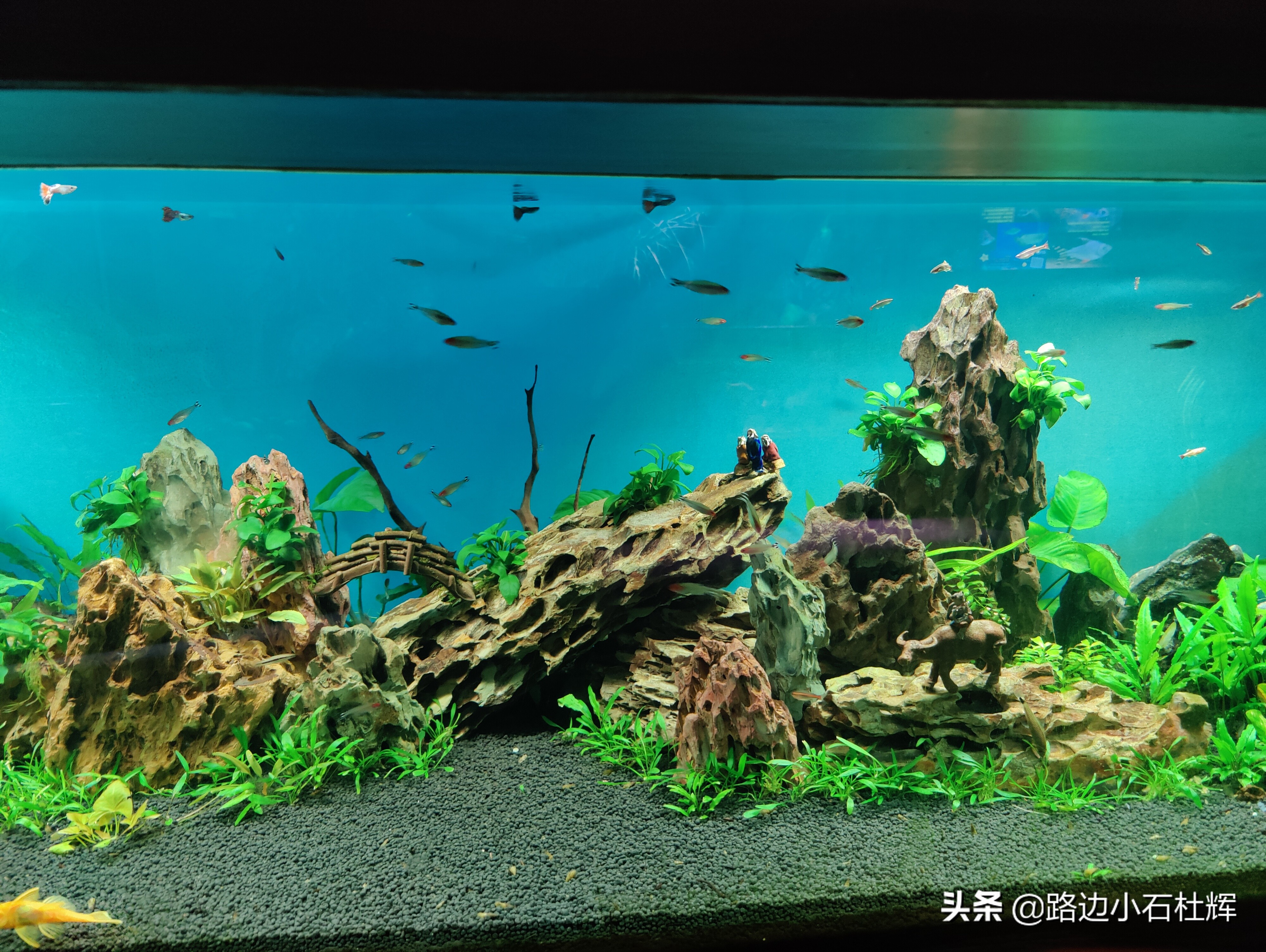 北京海洋馆海底世界和动物园攻略,游北京动物园海洋馆