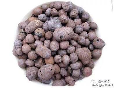 污水处理厂的污泥怎样处置,西安沣西新城污泥处置项目