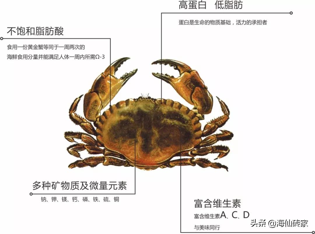 面包蟹和帝王蟹谁最厉害,面包蟹帝王蟹都是从哪里进口