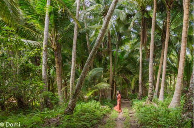 海南三亚5天自由行攻略详细,海南三亚7天旅游攻略最新