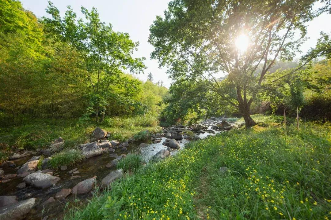 徒步浙东大峡谷,邂逅虎跳峡感受大自然