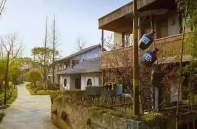 乌村推出一价全包模式的好处,乌村年接待游客量