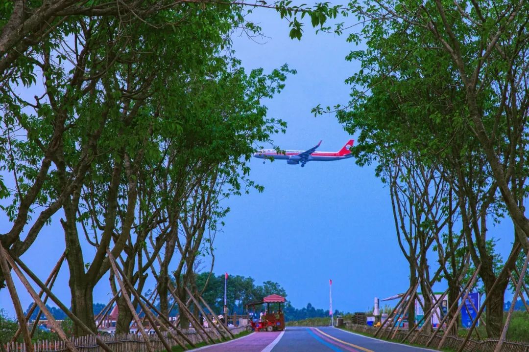 成都环城生态公园攻略,双流值得去的公园