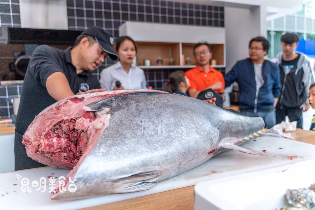 在昆明，第一次见200斤的大鱼，蘸着芥末生吃超爽