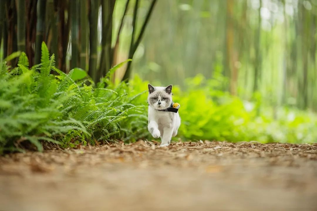 深圳真正的富人真实生活,深圳土豪的现状