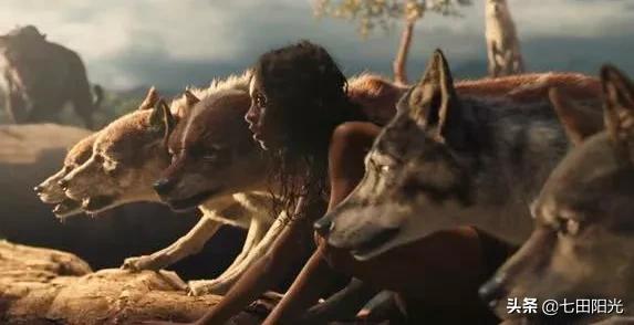 七田阳光大孩子教什么,七田阳光对孩子有用吗