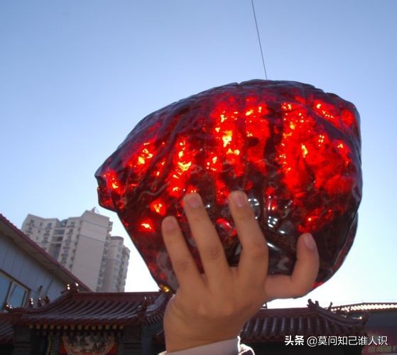 红*诱色**惑之血珀篇