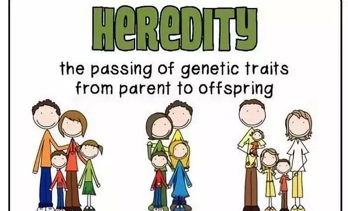 腿上有静脉曲张能生孩子么,妈妈静脉曲张是怎么回事