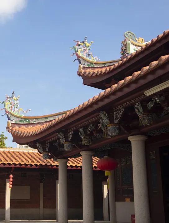 带着白茶去旅行,带着茶叶去踏青