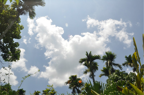 三亚自由行旅游攻略超详细哦,三亚旅游自由行全攻略