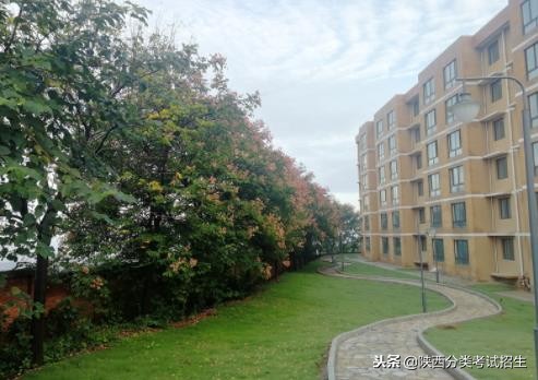 魅丽校园行之-陕西职业技术学院