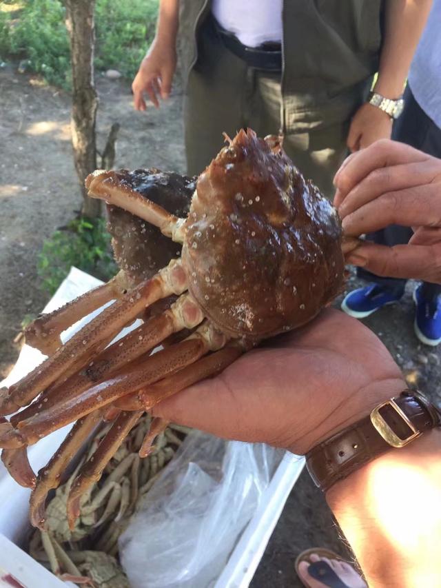 奇妙假期解说,奇妙假期一日游