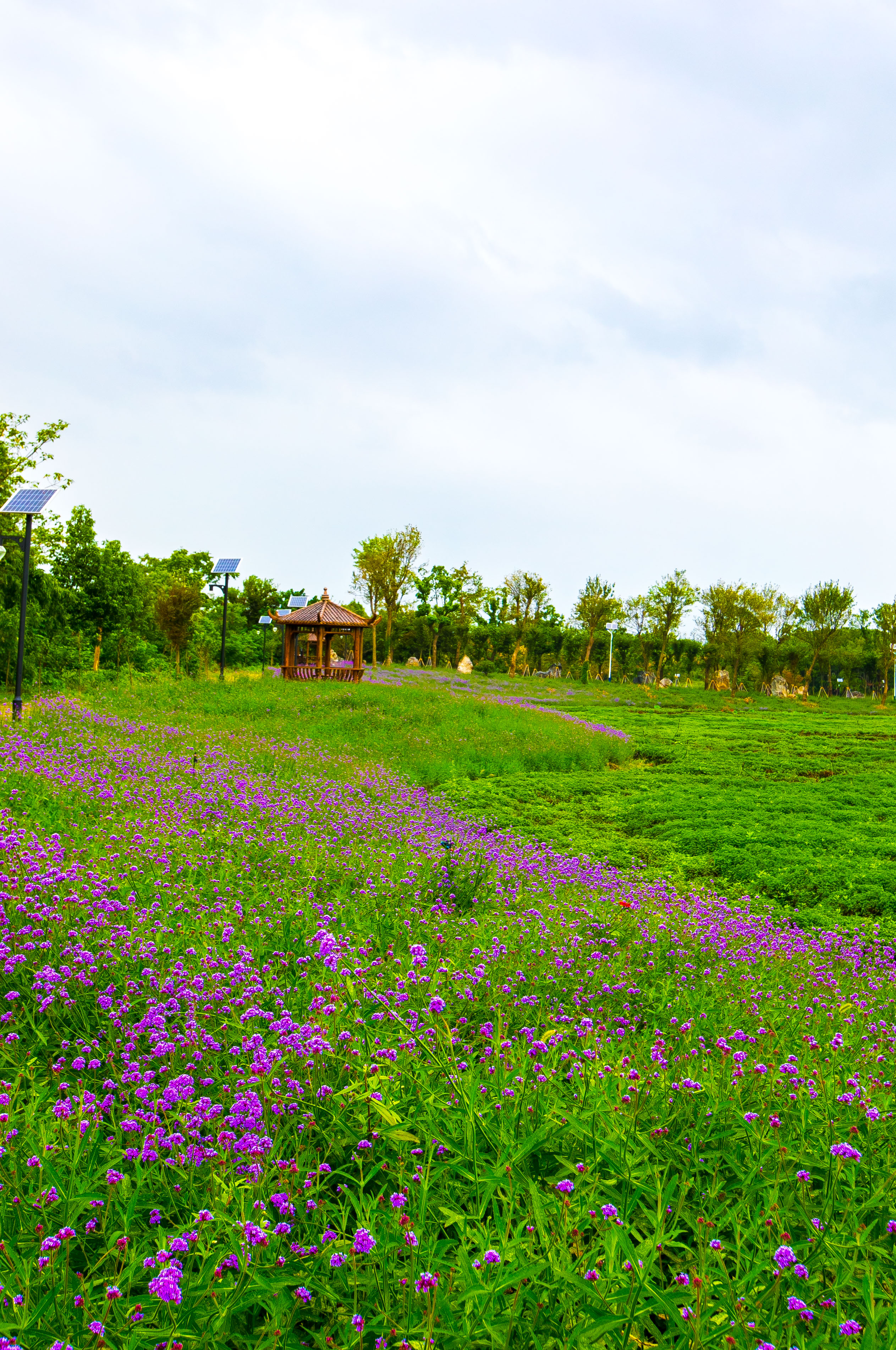 与乌镇齐名的江南水乡,与乌镇相似的小镇