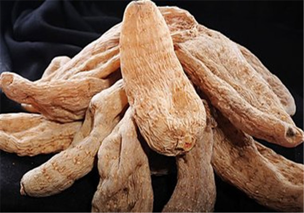 天麻种植技术与栽培管理专家讲解,天麻种植技术怎样管理