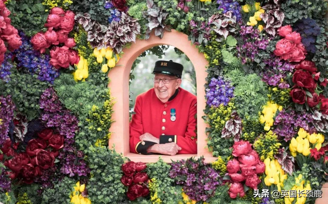 520/521：五月阳光下，伦敦依然盛放。记得常回来看看