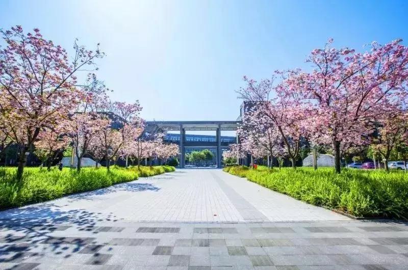 「西南交通大学」18届毕业生就业情况统计：均薪：5000--8000