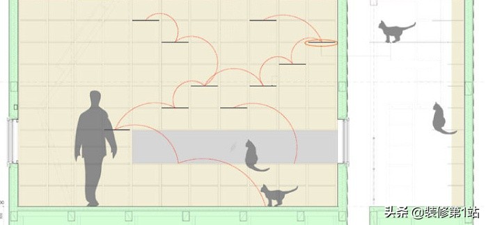 养猫拆家完整视频,拆家猫的日常