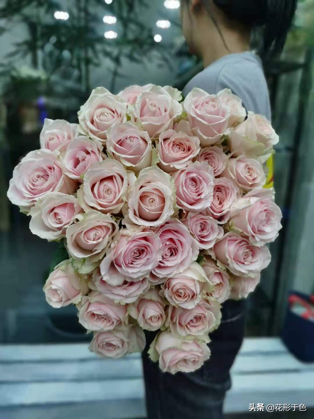 一分钟带你了解玫瑰,玫瑰花品鉴介绍