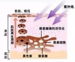 维c对感冒发烧的作用,小孩多吃维生素c变成了白癜风