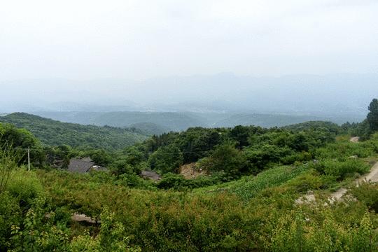 推荐的民宿采摘,浙江隐匿山野的民宿桃源仙境