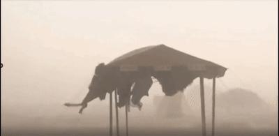 青铜峡中国军人,青铜峡黄河大峡谷军人免费吗