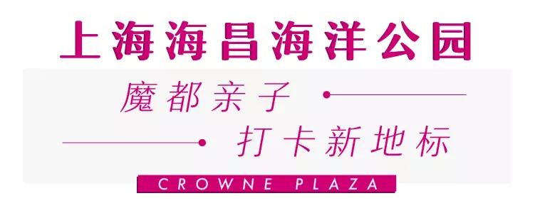 美到犯规的地方,魔都滴水湖酒店