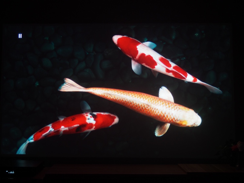 hdmi2.1光纤线开博尔测评,开博尔hdmi1.4线