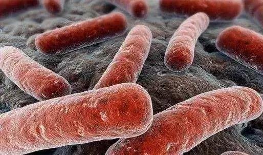 试管婴儿五个月引产,试管第三次成功又引产