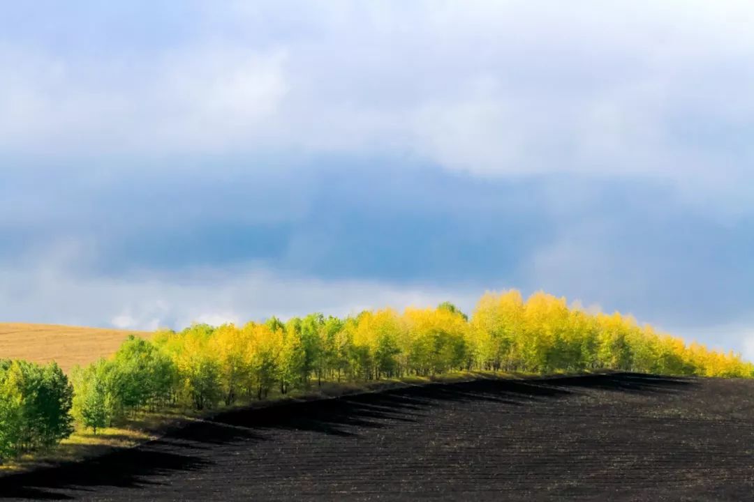 这是补气血最好的方法,不用去花冤枉钱