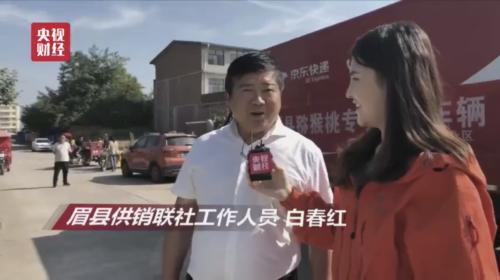 没想到我们经常吃的猕猴桃竟然是这样送到各个城市的